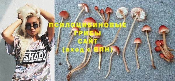 mdpv Магадан