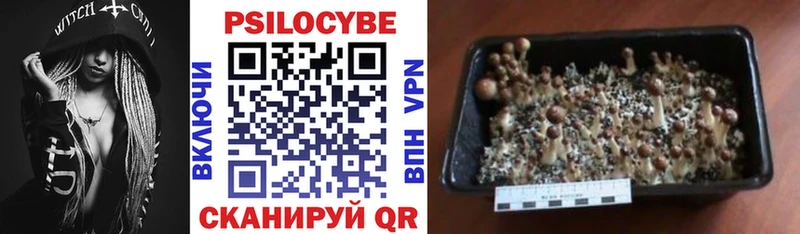 Галлюциногенные грибы мухоморы  Купить закладки  Анжеро-Судженск 